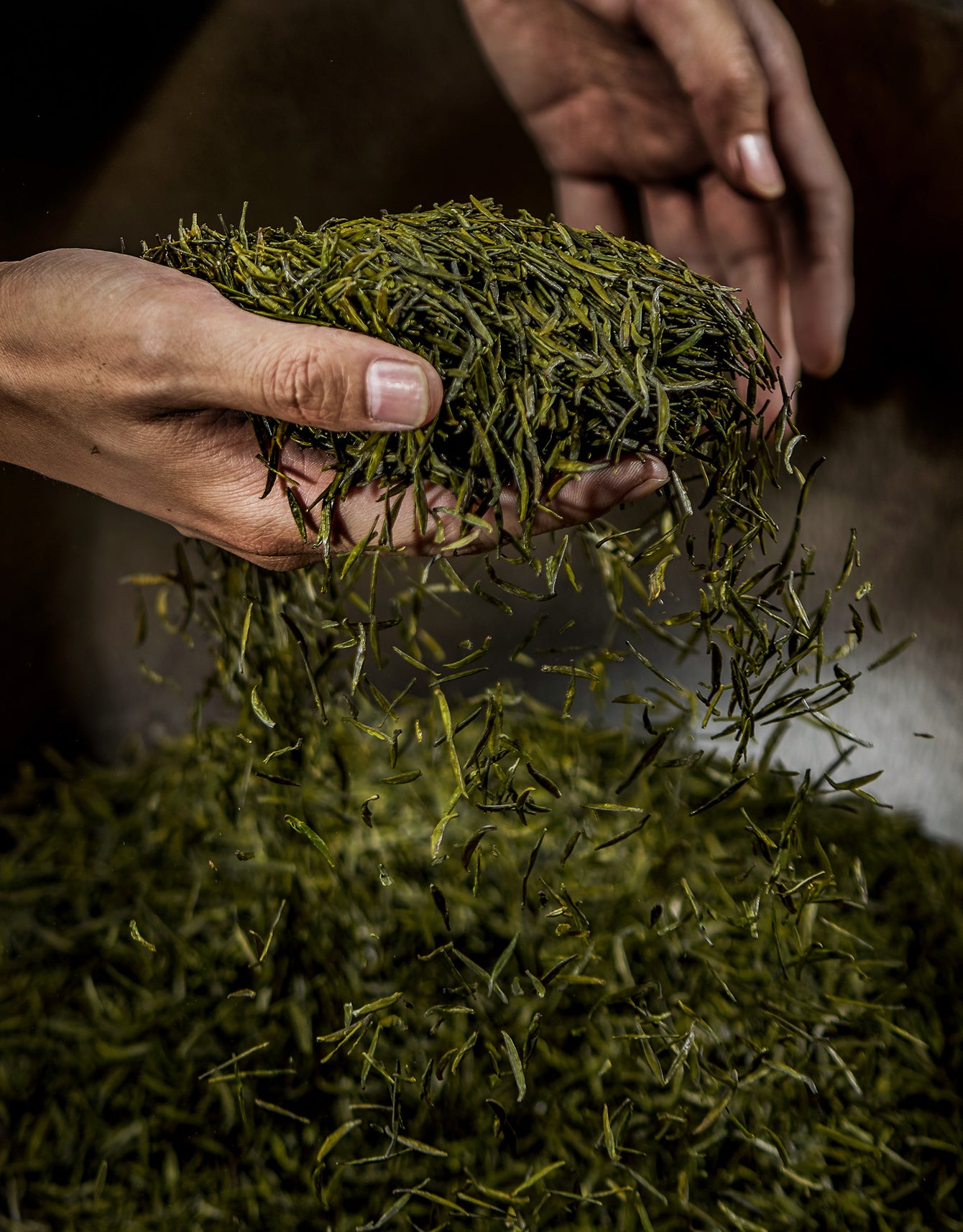 Our Story – Gya Tea